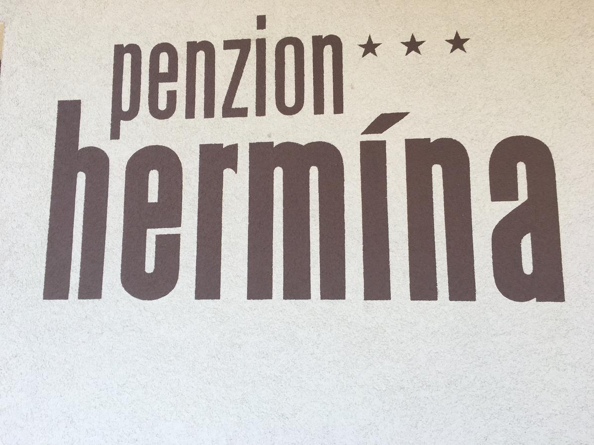Penzion Hermina Veselí nad Moravou Exterior foto